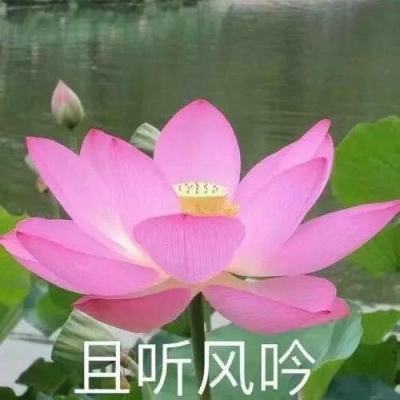 人民网三评“英烈保护”之一：伟大崇高，不容消解