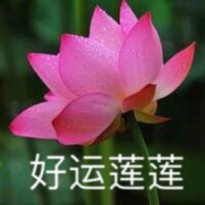 「共青团中央」从“莱猪”“加牛”到“洗白”核污水，民进党媚外害台无底线！